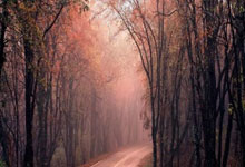 国足vs澳大利亚全场数据：国足射门数12-7占优，射正1-2.