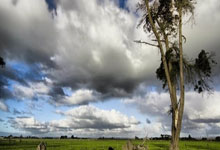 狗子28官网：王楚钦战胜张本智和 挺进WTT重庆冠军赛决赛.