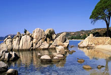 狗子28官网：郑智之后，39岁郜林也进国家队工作了，前广州队已有5人获提拔.